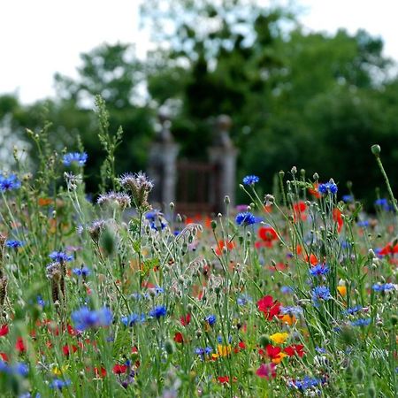 Chateau De Panloy Port-dʼEnvaux エクステリア 写真
